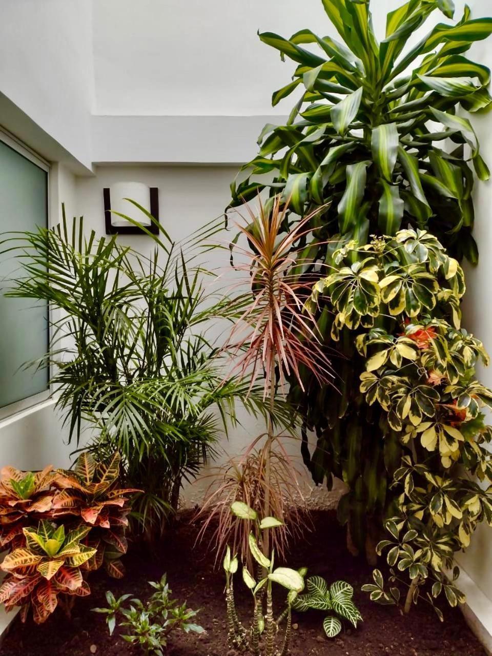 Hotel Jardin 38 Пасто Екстериор снимка