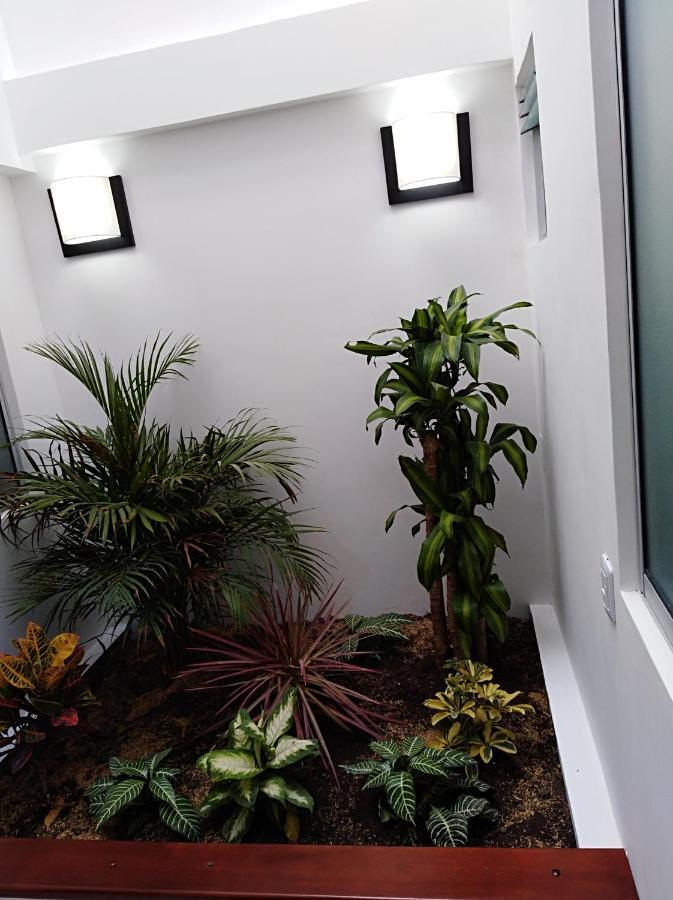 Hotel Jardin 38 Пасто Стая снимка